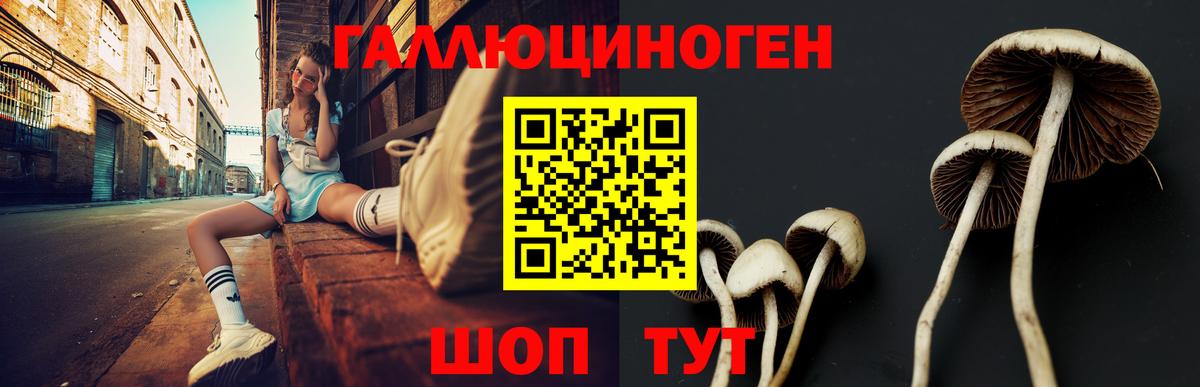 Псилоцибиновые грибы GOLDEN TEACHER  Псилоцибиновые грибы GOLDEN TEACHER  Старый Оскол  Вход с VPN 